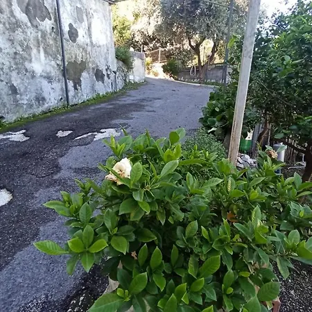 La Terrazza Quisisana Sorrento Coast * Кастелламмаре-ди-Стабия