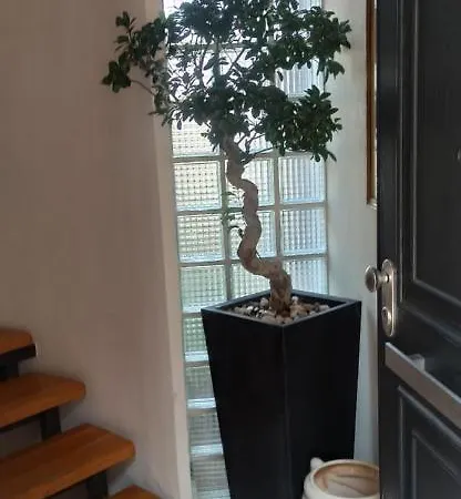 Holiday home La Terrazza Quisisana Sorrento Coast Castellammare di Stabia